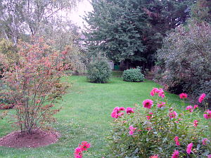 Création de jardins extérieurs